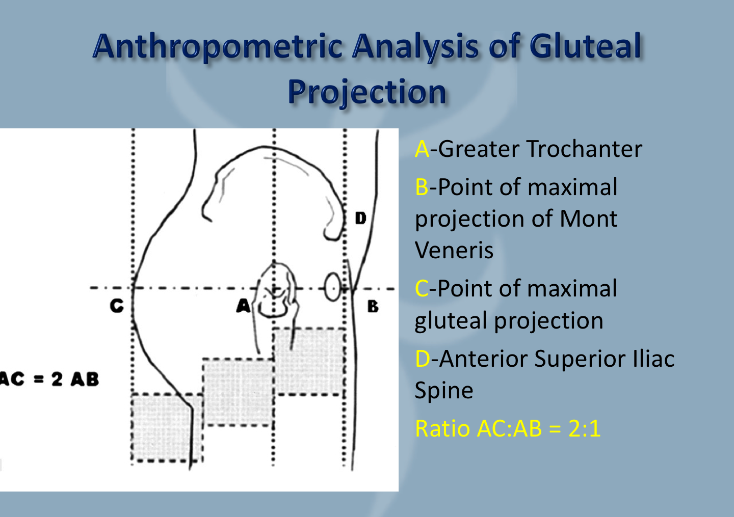 Ratio and gluteal projection for white caucasian females